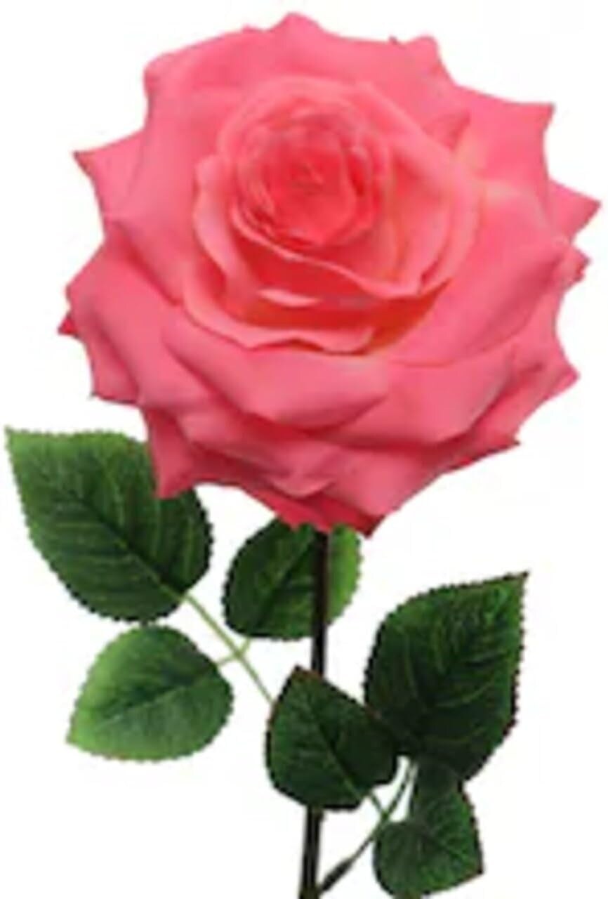 12-Pack: Open Rose Stem with Lifelike Silk Foliage, Floral Home by Artificial Flowers